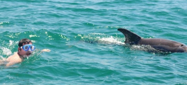  与海豚一起潜水